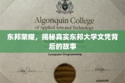 东邦大学文凭之谜，揭开荣耀背后的真实面纱
