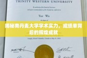 解码南丹麦大学卓越学术之光，揭秘非凡成就背后的辉煌历程