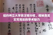 解码纽约州立大学宾汉顿分校，文凭背后的学术盛宴