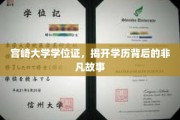 宫崎大学文凭揭秘，一段不凡学历背后的传奇旅程