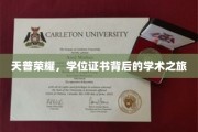 探寻天普荣耀，学位证书背后的学术征途