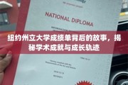 探寻纽约州立大学成绩单背后的秘密，学术巅峰与成长之路