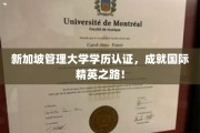 新加坡管理大学学历全球认可，助你踏上国际精英成长之旅！