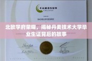 丹麦技术大学毕业生证，北欧荣耀背后的传奇之路