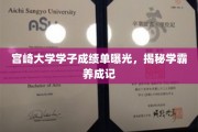 宫崎大学学霸养成之路，成绩单揭秘背后的努力与智慧