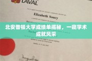 北安普顿大学成绩单背后的学术风采探秘
