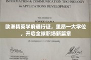 欧洲学府通行证，里昂一学位，解锁国际职场无限可能