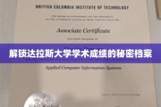 达拉斯大学学霸养成记，揭秘学术高分的秘密武器