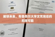 布鲁奈尔大学文凭，开启职业新世界的金钥匙