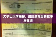 揭开尤宁山大学成绩单的秘密，背后的故事与数据大揭秘