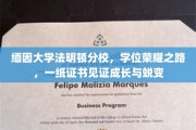 缅因荣耀，法明顿分校学子蜕变之旅，学位证书映照成长足迹