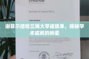 谢菲尔德哈兰姆大学成绩单，见证学术卓越的通行证