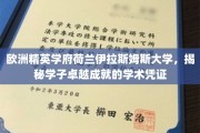 解码荷兰伊拉斯姆斯大学，培养未来精英的学术宝藏