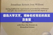 揭秘德岛大学文凭，名校光环下的真实价值几何？