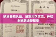 尼斯大学文凭，国际职场通行证，开启全球职业新纪元