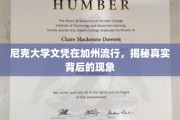 加州求职新趋势，尼克大学文凭的火爆真相探秘