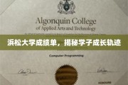 浜松大学成绩单，探寻学子成长足迹