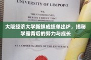 解码大阪经济大学学霸秘籍，揭秘努力与成长的蜕变之路
