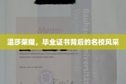 温莎荣耀揭秘，名校证书背后的璀璨风采