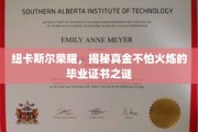 纽卡斯尔大学证书传奇，探寻坚不可摧的毕业凭证奥秘