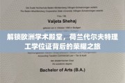 欧洲学府之光，揭秘荷兰代尔夫特理工学位证的璀璨历程