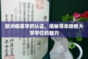 哥本哈根大学学位，欧洲精英学府认证下的非凡魅力