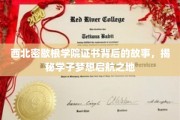 西北秘境，揭秘学子梦想起飞的密歇根学院证书传奇