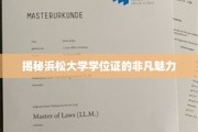 揭秘浜松大学学位证的非凡魅力