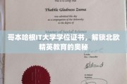 解码哥本哈根IT大学，北欧精英教育的神秘钥匙