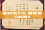 探秘新罕布什尔学霸，成绩单背后的不凡奥秘