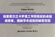 解锁卡罗理工学院辉煌成就，一窥学术奇迹的绿洲