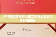 MIT阿姆赫斯特分校文凭，解码精英教育的秘密力量