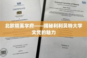 解锁北欧教育瑰宝，利利贝特大学文凭的独特魅力