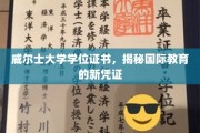 威尔士大学学位证书，开启全球教育新纪元的国际通行证