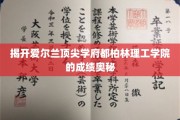 解锁都柏林理工学院卓越成绩背后的秘籍