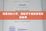 揭开浜松大学学子成绩单的神秘面纱，背后的故事与成长轨迹