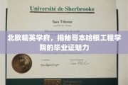 解码哥本哈根工程学院，北欧精英学府的毕业证传奇