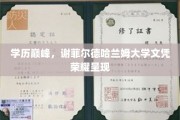 荣耀启航，谢菲尔德哈兰姆大学学子成就展翅高飞