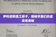 解码伊利诺斯理工学霸之路，揭秘高材生的学术秘籍