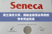 探寻荷兰海牙大学的学术魅力，全球精英学府的凭证风采大揭秘