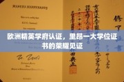 欧洲名校认证之光，里昂一大学位证书，荣耀与学术的双重见证