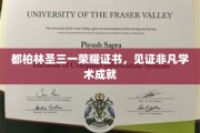 都柏林圣三一荣耀证书，学术巅峰的荣耀见证