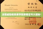 法国威勒精英商学院证书背后的荣耀之路揭秘