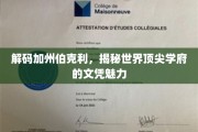探寻伯克利传奇，揭秘顶尖学府的卓越文凭之路