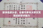 解码杜大文凭，欧洲名校认证下的学术璀璨之光