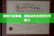 探寻维特尔波荣耀，名校文凭背后的独特魅力