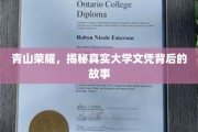 校园秘境，探秘文凭背后的真实历程