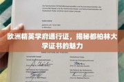 欧洲学术精英的敲门砖，探寻都柏林大学证书的非凡魅力
