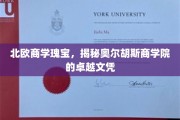 探寻北欧教育明珠，奥尔胡斯商学院的卓越文凭魅力