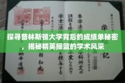 解码普林斯顿精英学府，揭秘其卓越学术成就背后的神秘力量